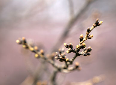 写真12