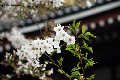 写真9
