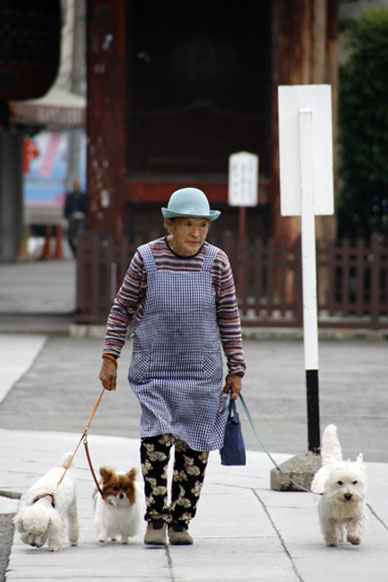 写真12