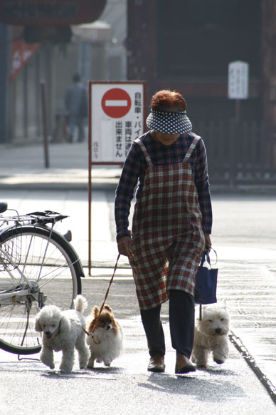 写真12