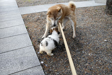 写真7