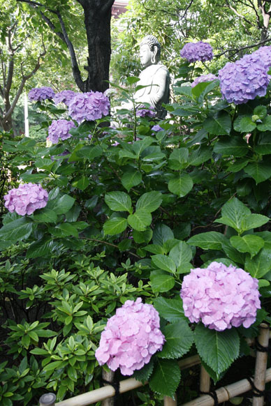 写真3
