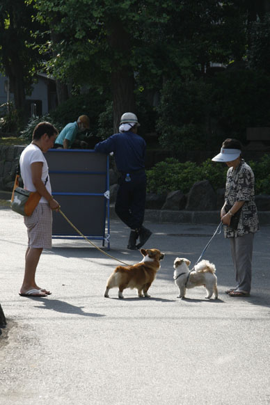 写真10
