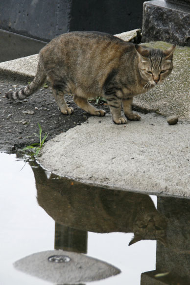写真7