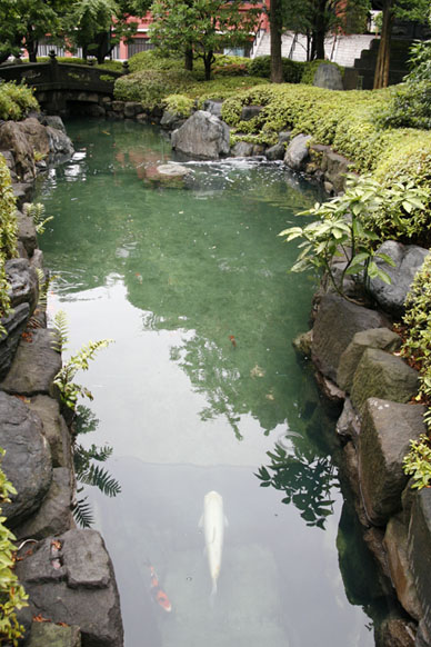 写真3