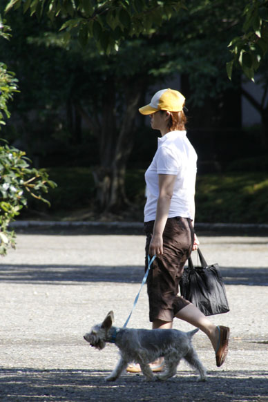 写真10