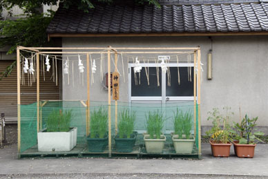 写真7