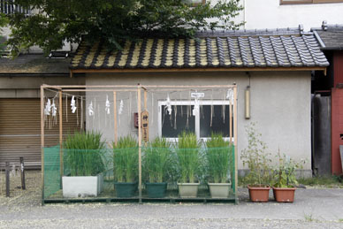 写真3