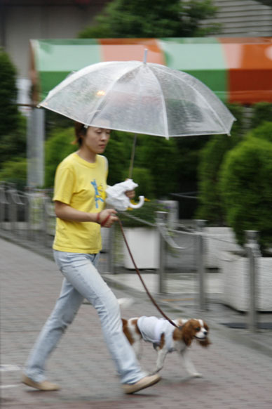 写真10