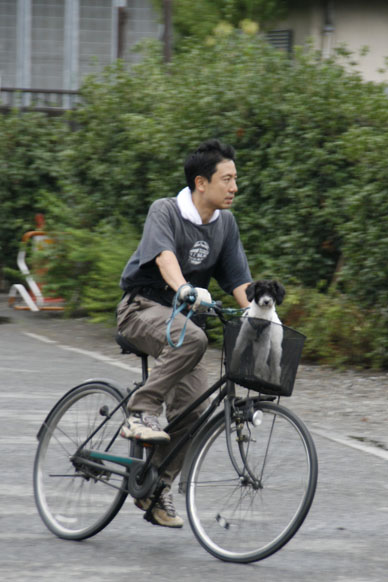 写真10