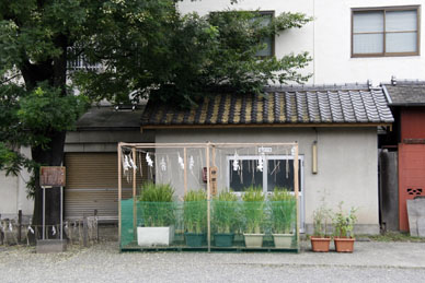 写真3