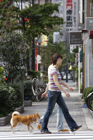 写真10