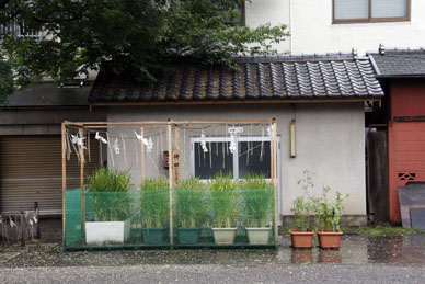 写真3