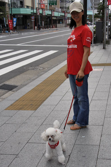 写真7