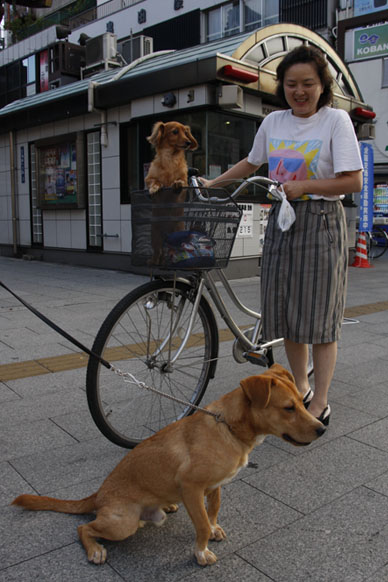 写真10