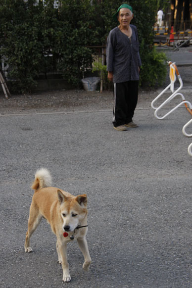 写真10