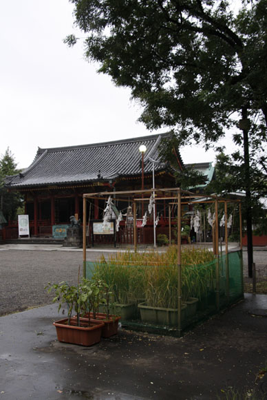 写真000