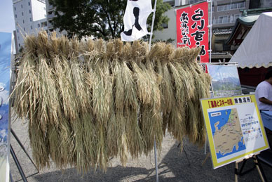 写真10