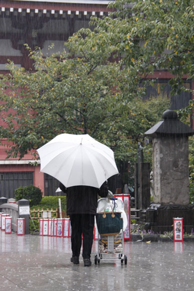 写真10