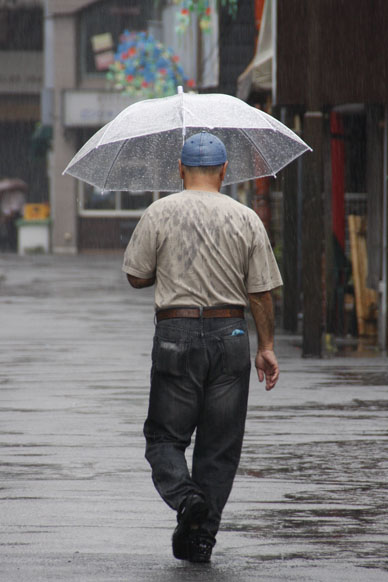 写真10