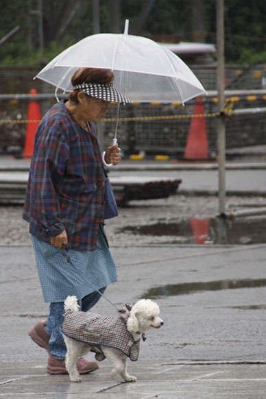 写真10