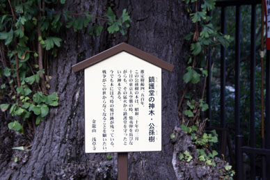 写真000