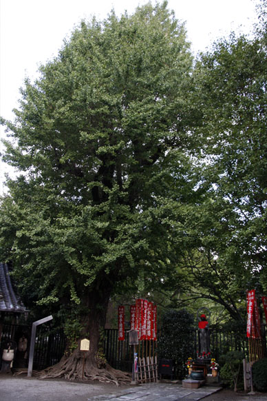 写真000