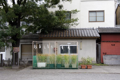 写真000