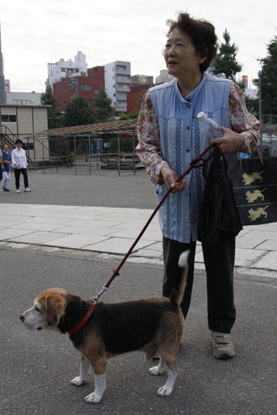写真10