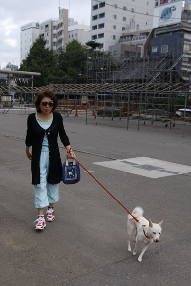 写真10