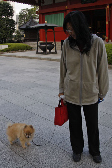 写真10
