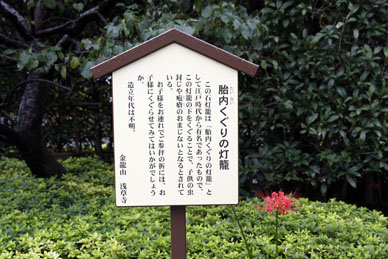 写真000