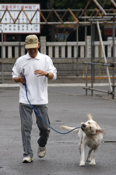 写真10