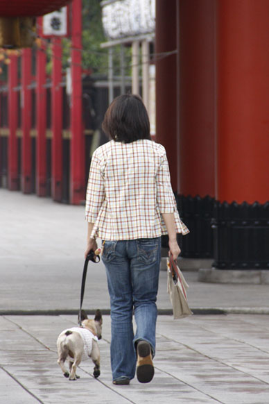 写真10