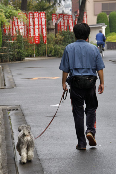 写真10