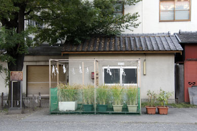 写真000