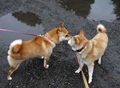 写真000
