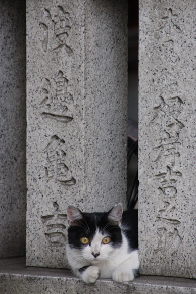 ʐ^000