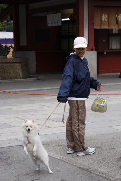 写真000