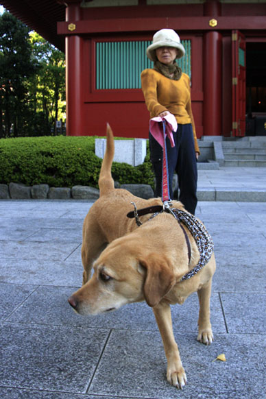 写真000