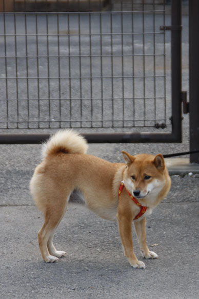 写真000