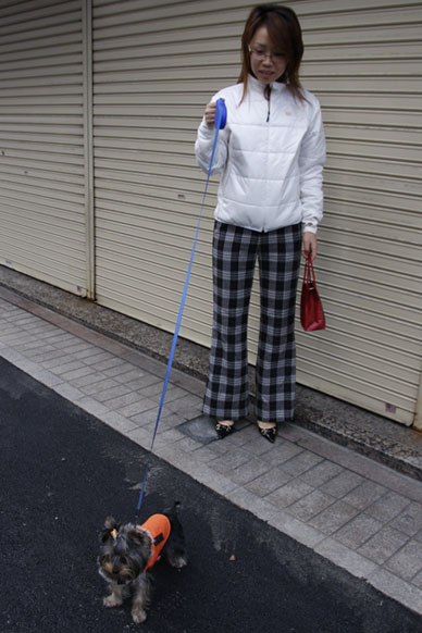 写真000