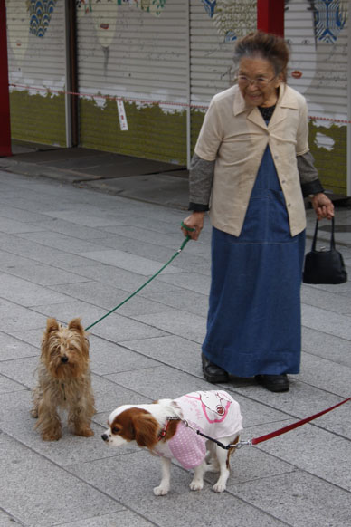 写真000