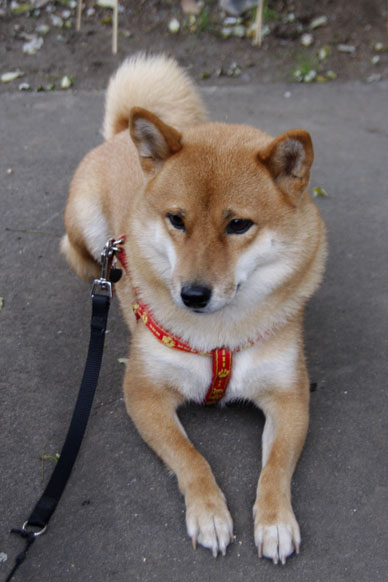写真000