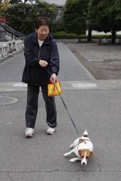 写真000