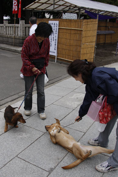 写真000