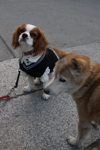 写真10