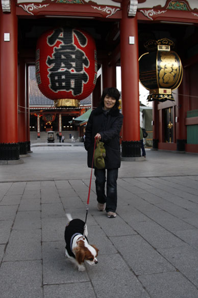 写真10