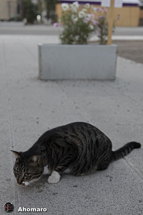 写真00