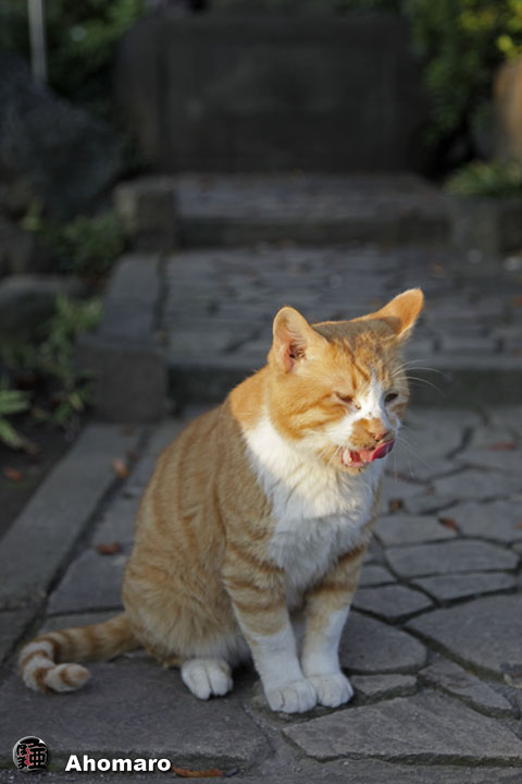 写真00